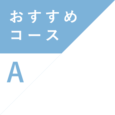 おすすめコースA